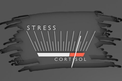 Cortisol monitoring graphic used to illustrate stress reduction in Lake St. Louis, MO