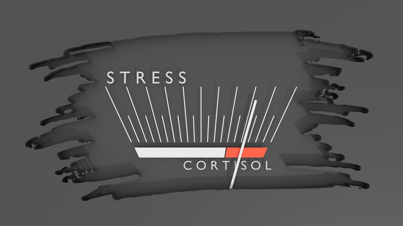Cortisol monitoring graphic used to illustrate stress reduction in Lake St. Louis, MO